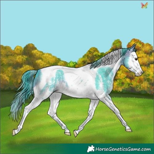 Horse Color:Watercolor Buckskin Sabino Splash Tobiano