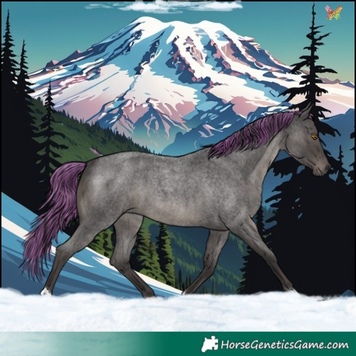 Horse Color:Painted Smoky Blue Roan 