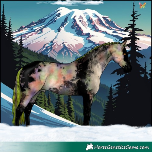 Horse Color:Void Painted Nacre Buckskin Dun Splash Tobiano 