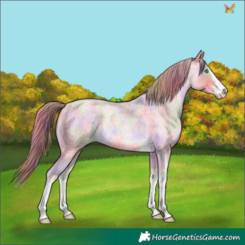 Horse Color:Nacre Watercolor White Spotted Chocolate Buckskin Roan Pearl 