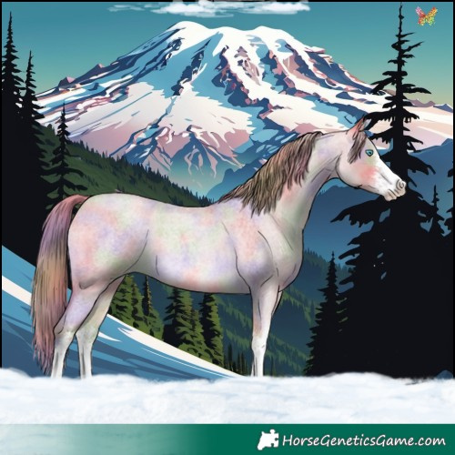 Horse Color:Nacre Watercolor White Spotted Chocolate Buckskin Roan Pearl 