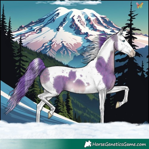 Horse Color:Watercolor Buckskin Dun Splash Tobiano 