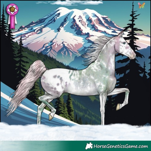 Horse Color:Watercolor White Spotted Silver Brown Dun Splash Appaloosa Rabicano 