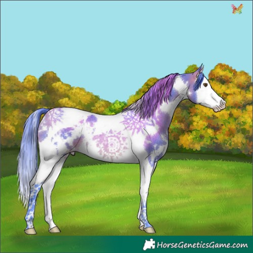 Horse Color:Watercolor White Spotted Buckskin Splash Tobiano Appaloosa Rabicano 