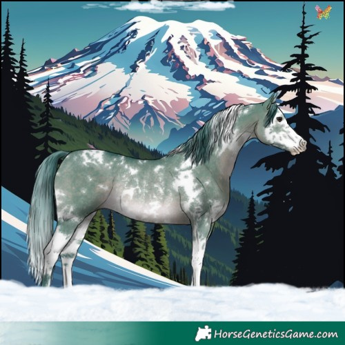 Horse Color:Watercolor White Spotted Brown Dun Splash Rabicano 