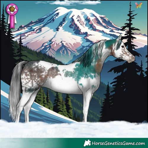 Horse Color:White Spotted Brown Splash Rabicano 