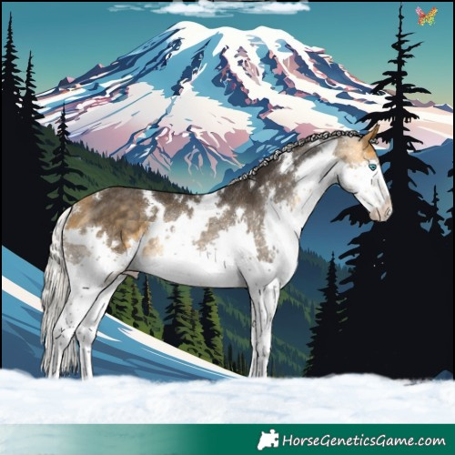 Horse Color:White Spotted Silver Buckskin Splash Rabicano 