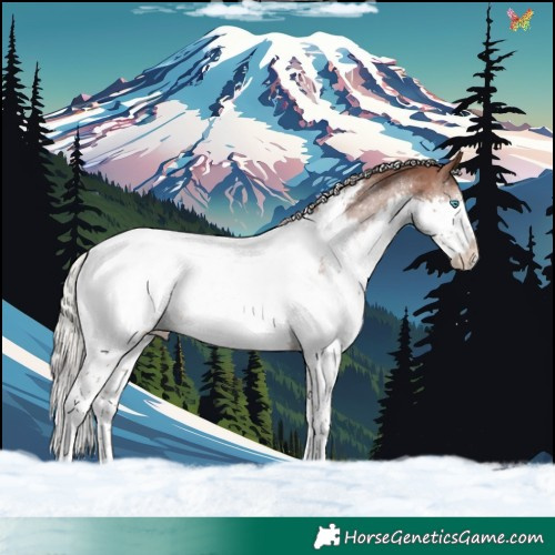 Horse Color:White Spotted Silver Black Splash Appaloosa Rabicano 