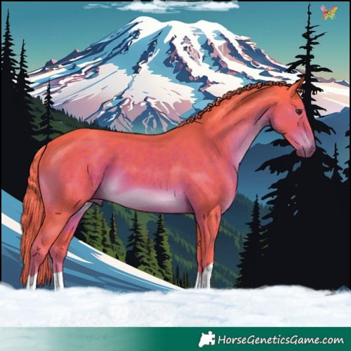 Horse Color:Watercolor Liver Chestnut 