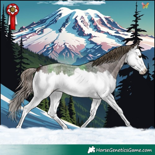 Horse Color:Liver Red Roan Splash 