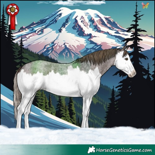 Horse Color:Liver Red Roan Splash 