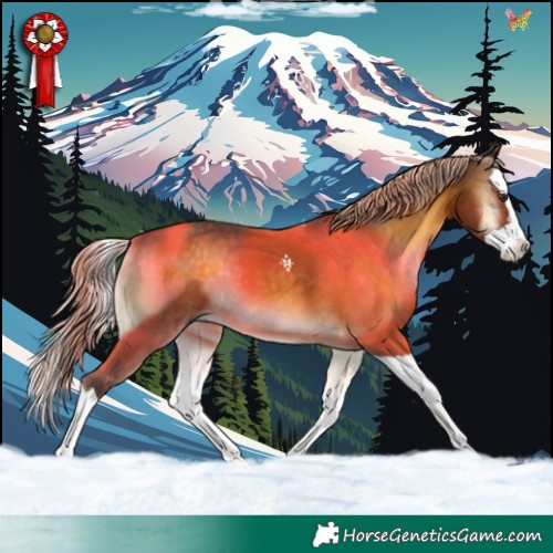 Horse Color:Chocolate Palomino Onyx Splash 