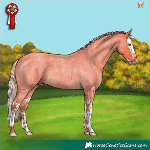 Horse Color:Watercolor Chocolate Palomino Roan Splash