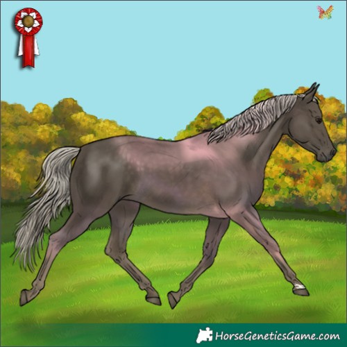Horse Color:Silver Smoky Black 
