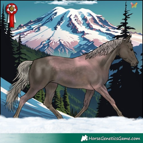 Horse Color:Silver Smoky Black 