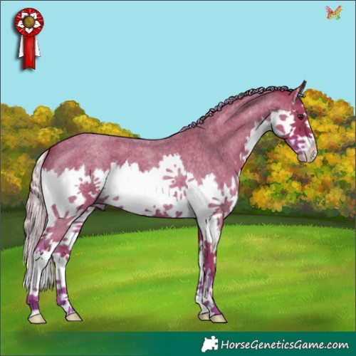 Horse Color:Watercolor Liver Red Roan Splash 