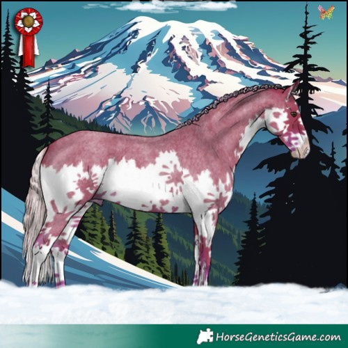 Horse Color:Watercolor Liver Red Roan Splash 