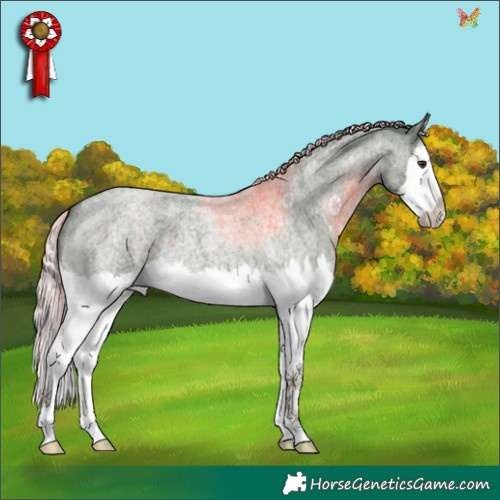Horse Color:Watercolor Chocolate Palomino Roan Splash 