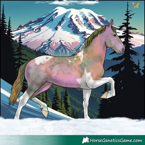 Horse Color:Watercolor Bay Tobiano 
