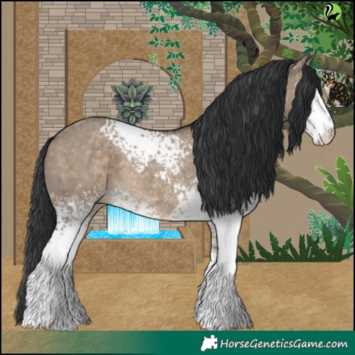Horse Color:White Spotted Brown Dun Tobiano 