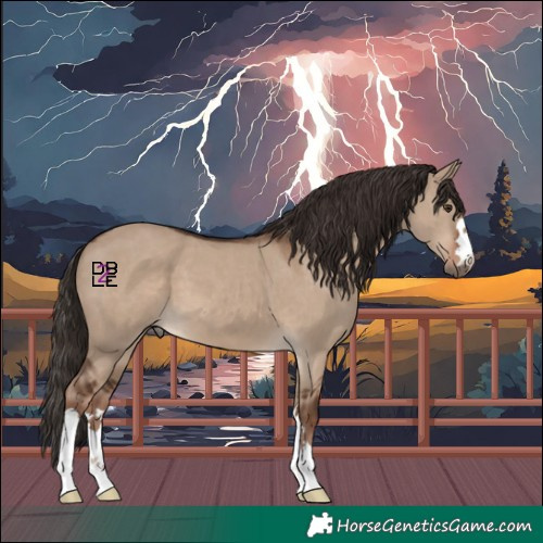 Horse Color:Liver Red Dun 