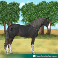 Horse Color:Liver Chestnut Mushroom 