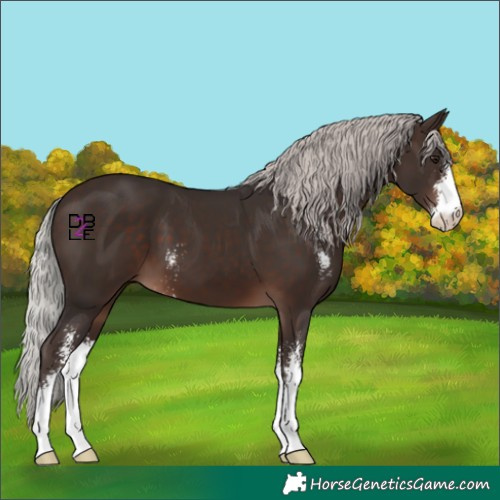 Horse Color:Silver Brown Mushroom Sabino 