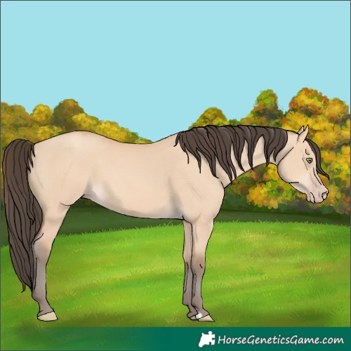 Horse Color:Amber Champagne Dun 