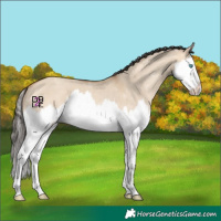Horse Color:Amber Champagne Dun Splash 
