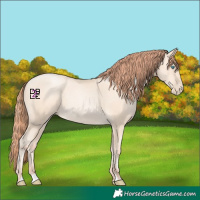 Horse Color:Classic Cream Champagne Pearl 