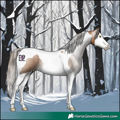 Horse Color:Gray Bay Pearl Splash Tobiano 