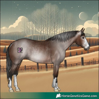 Horse Color:Gray Bay Rabicano