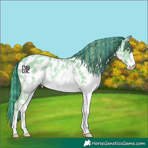 Horse Color:Platinum Painted White Spotted Gold Champagne Sabino Appaloosa 