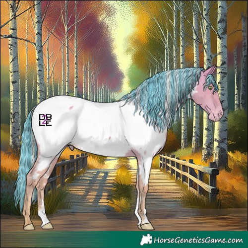 Horse Color:Platinum Painted Silver Amber Champagne Dun Sabino Appaloosa