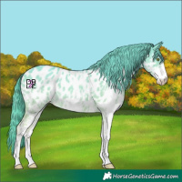 Horse Color:Platinum Gold Champagne Sabino Near Leopard