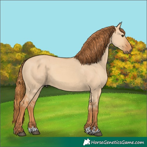 Horse Color:Red Dun