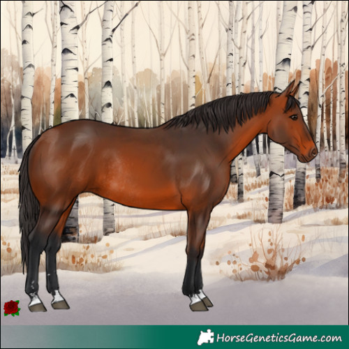Horse Color:Brown Rabicano