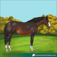 Horse Color:Brown 