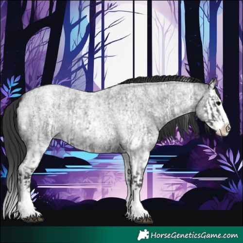 Horse Color:Blue Roan Sabino Splash  and Blue Roan Sabino Splash 