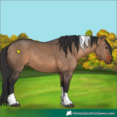 Horse Color:Brown Dun Tobiano 