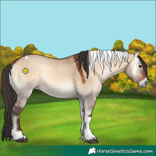 Horse Color:Bay Onyx Tobiano 