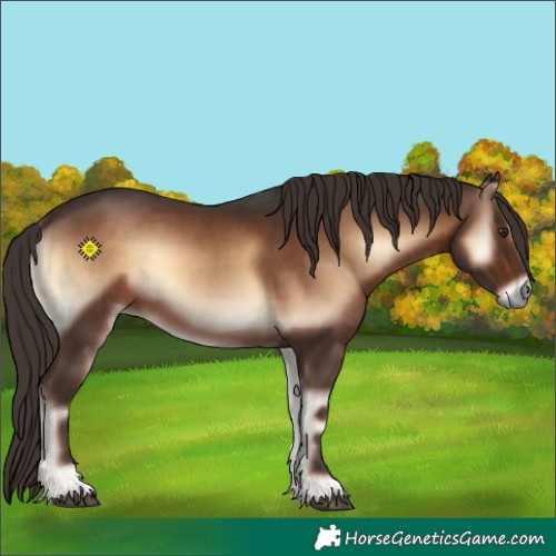 Horse Color:Liver Red Onyx