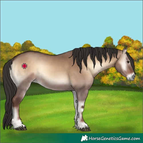 Horse Color:Liver Red Dun Onyx 