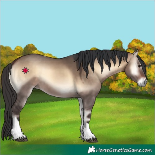 Horse Color:Bay Onyx Tobiano 