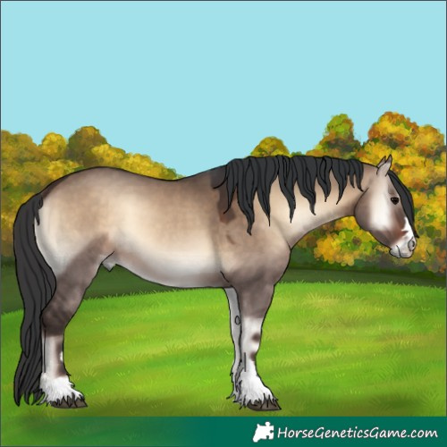 Horse Color:Brown Onyx