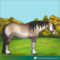 Horse Color:Brown Onyx 