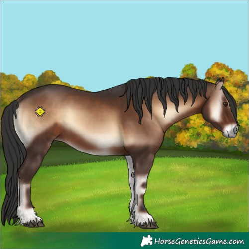 Horse Color:Liver Red Onyx 