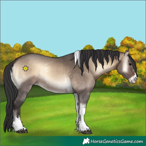 Horse Color:Brown Onyx Sabino Tobiano Rabicano