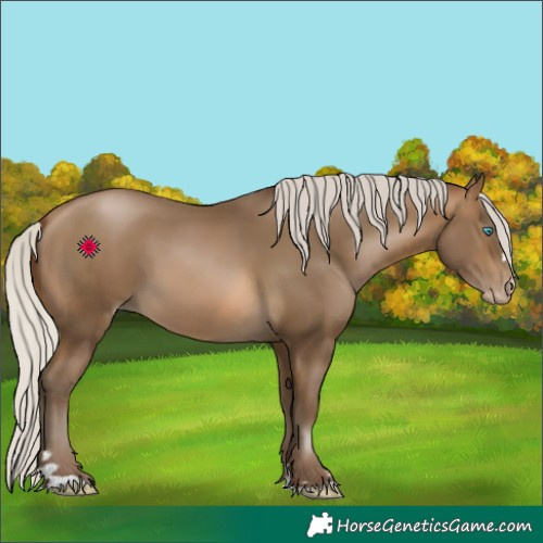 Horse Color:Gray Silver Buckskin Pearl 