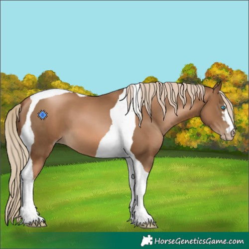 Horse Color:Gray Chocolate Palomino Pearl Tobiano 